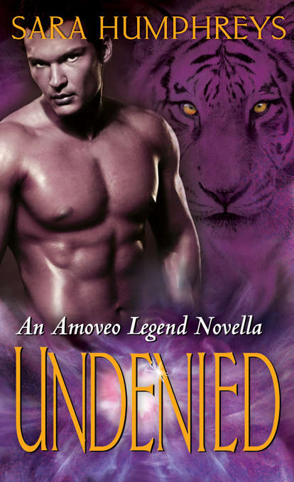 Book cover of Undenied