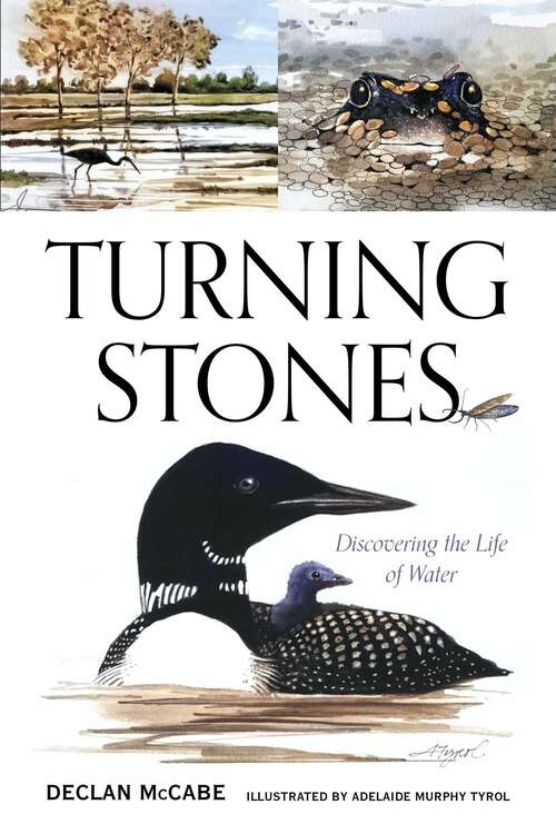 Book cover of Turning Stones: Discovering the Life of Water