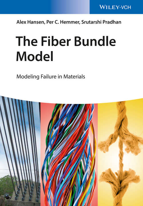 Book cover of The Fiber Bundle Model