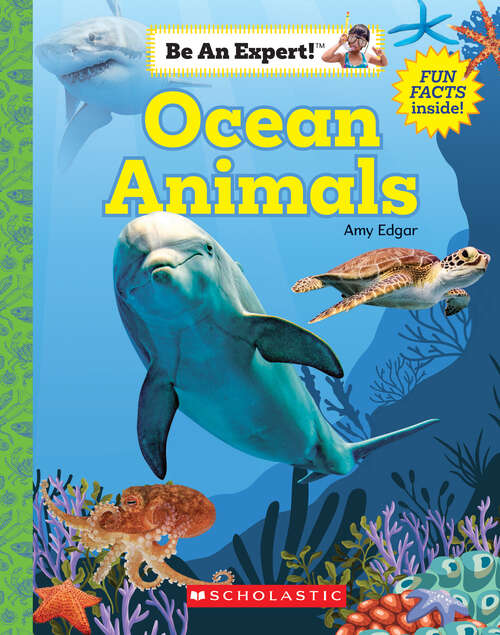 Book cover of Ocean Animals (Be an Expert!)