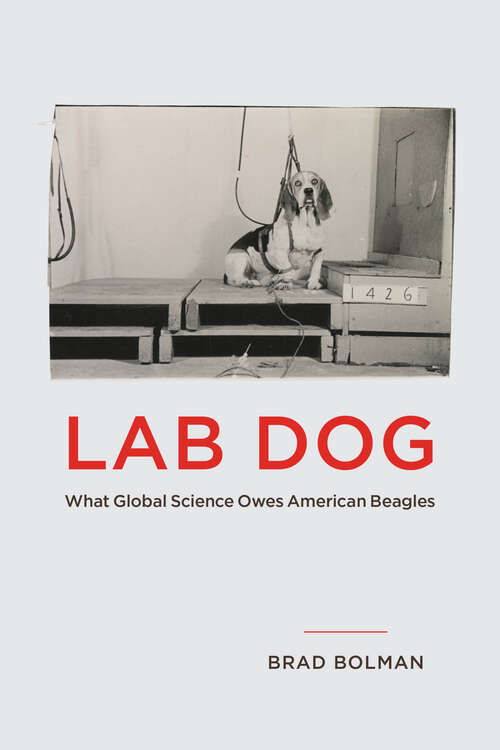 Book cover of Lab Dog: What Global Science Owes American Beagles