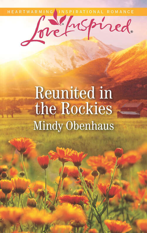 Reunited in the Rockies: Rocky Mountain Heroes (Rocky Mountain Heroes #4)