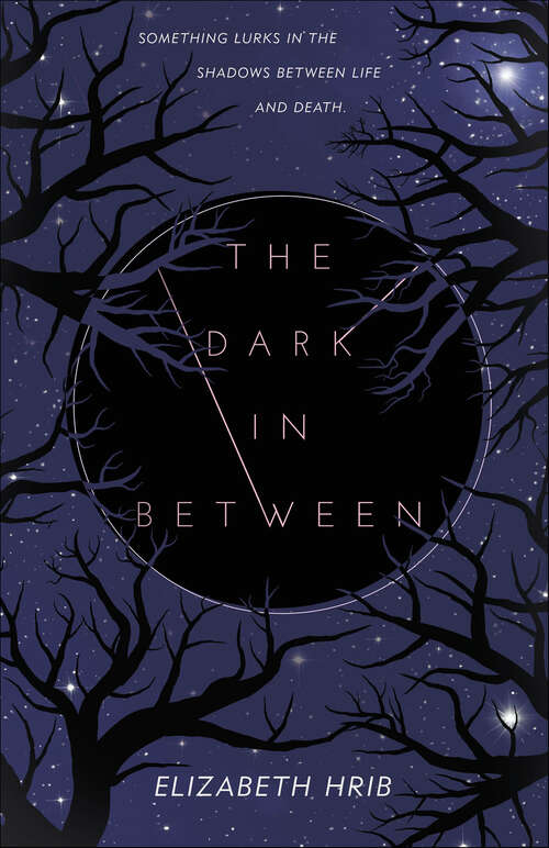 Book cover of The Dark In Between