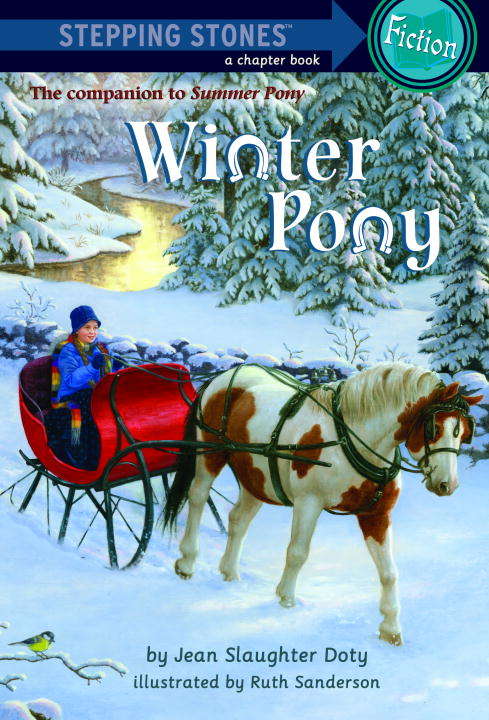 Book cover of Winter Pony