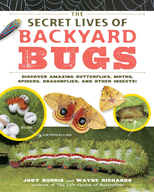 Book cover of The Secret Lives of Backyard Bugs: Discover Amazing Butterflies, Moths, Spiders, Dragonflies, and Other Insects!