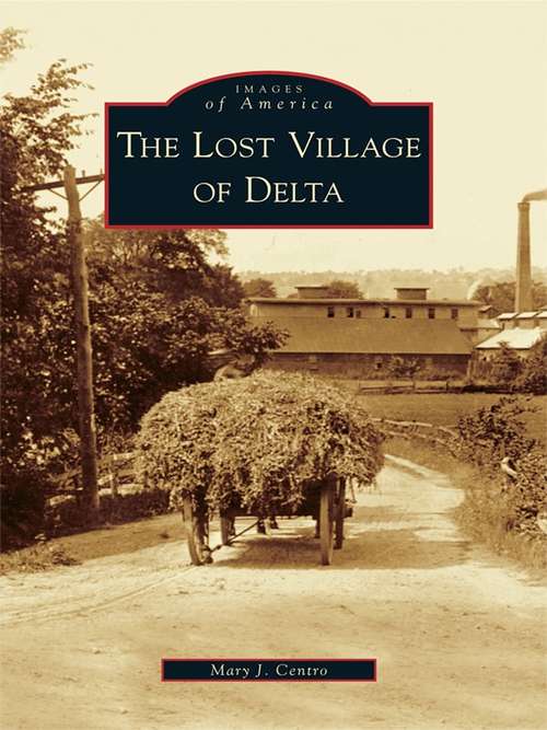 Book cover of Lost Village of Delta, The (Images of America)