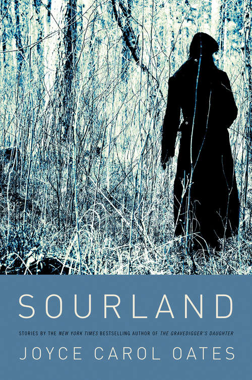 Book cover of Sourland