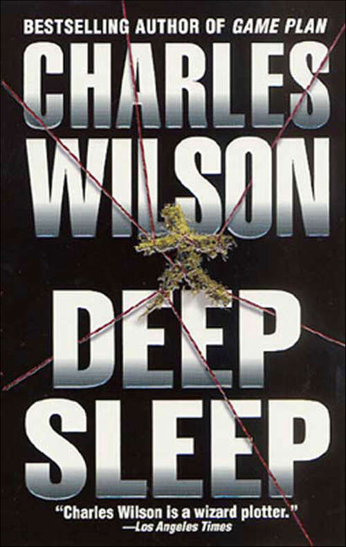 Book cover of Deep Sleep