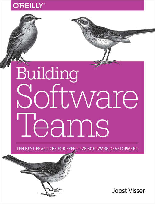 Building Software Teams: Ten Best Practices for Effective Software Development