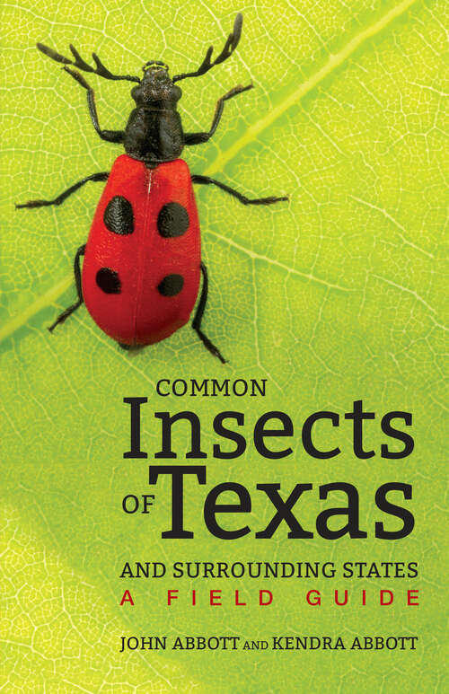 Book cover of Common Insects of Texas and Surrounding States: A Field Guide