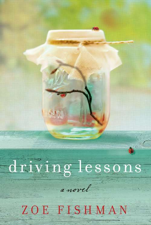Book cover of Driving Lessons