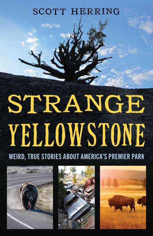 Book cover of Strange Yellowstone: Weird, True Stories about America's Premier Park