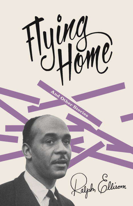 Book cover of Flying Home