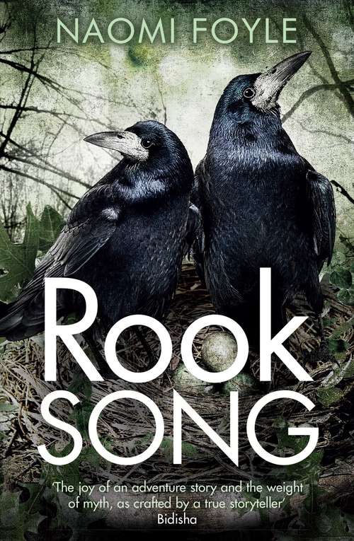 Rook Song: The Gaia Chronicles Book 2 (The Gaia Chronicles #2)