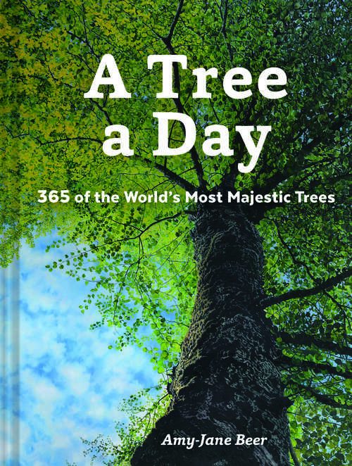 A Tree a Day: 365 of the World’s Most Majestic Trees