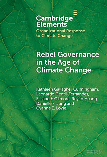 Book cover of Rebel Governance in the Age of Climate Change (Organizational Response to Climate Change: Businesses, Governments)