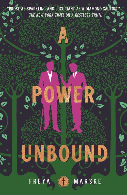 Book cover of A Power Unbound (The Last Binding #3)