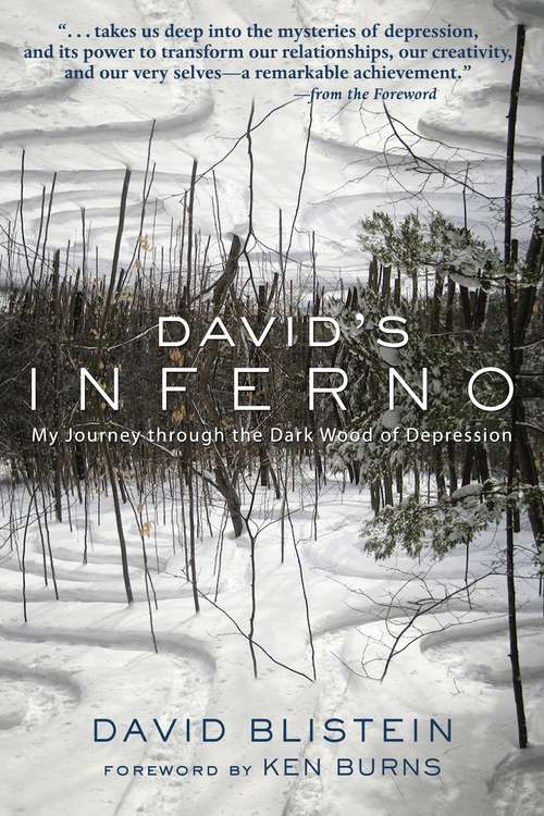 Book cover of David's Inferno