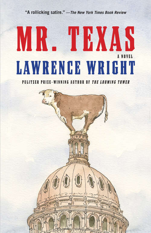 Book cover of Mr. Texas: A novel