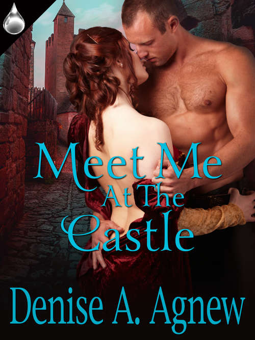 Book cover of Meet Me At the Castle