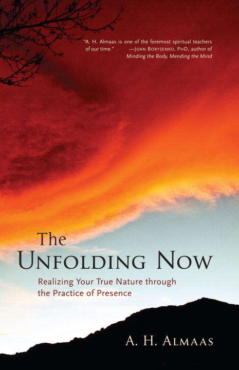 Book cover of The Unfolding Now: Realizing Your True Nature through the Practice of Presence