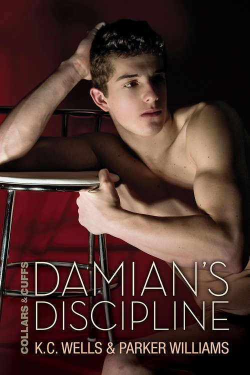 Book cover of Damian's Discipline