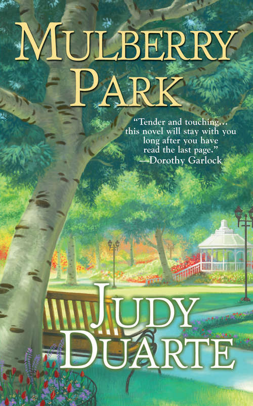 Book cover of Mulberry Park