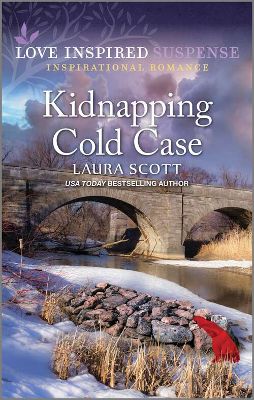 Book cover of Kidnapping Cold Case (Original)