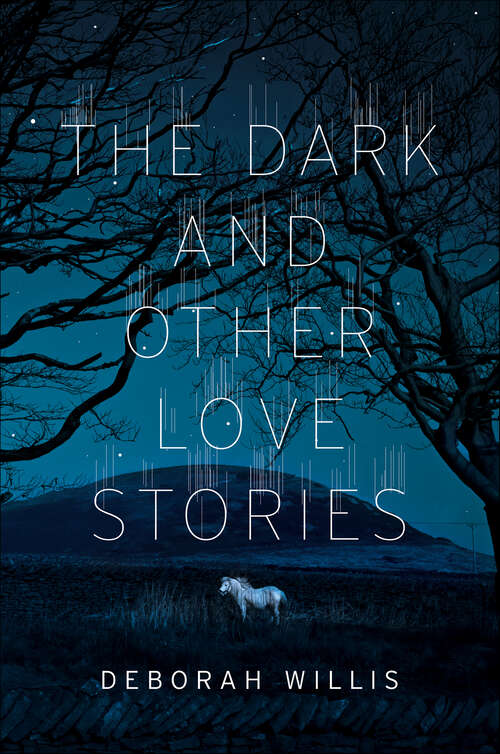 Book cover of The Dark and Other Love Stories