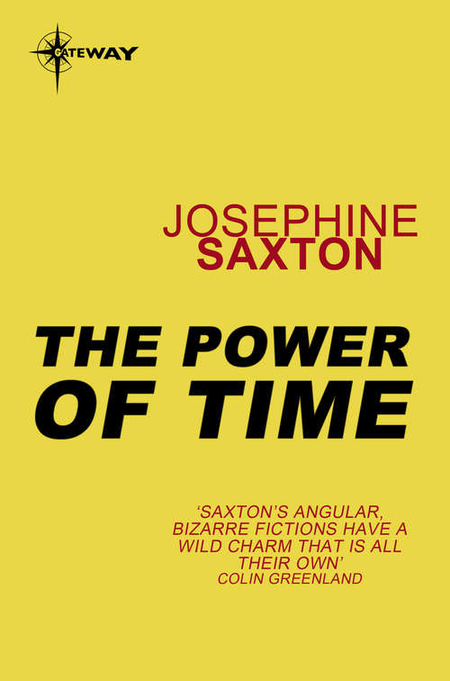 Book cover of The Power of Time