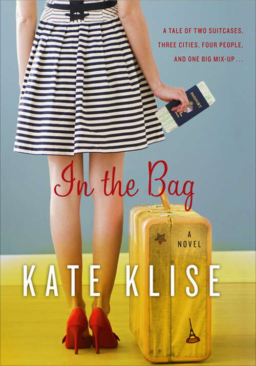 Book cover of In the Bag: A Novel