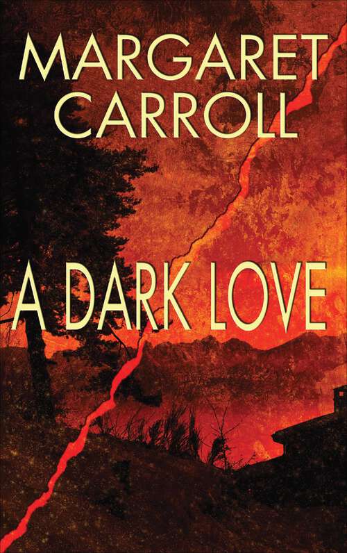 Book cover of A Dark Love