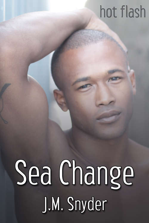 Book cover of Sea Change (Hot Flash)