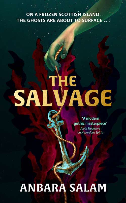 Book cover of The Salvage