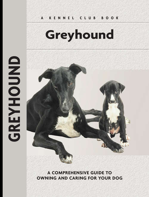 Book cover of Greyhound