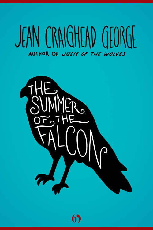 Book cover of The Summer of the Falcon