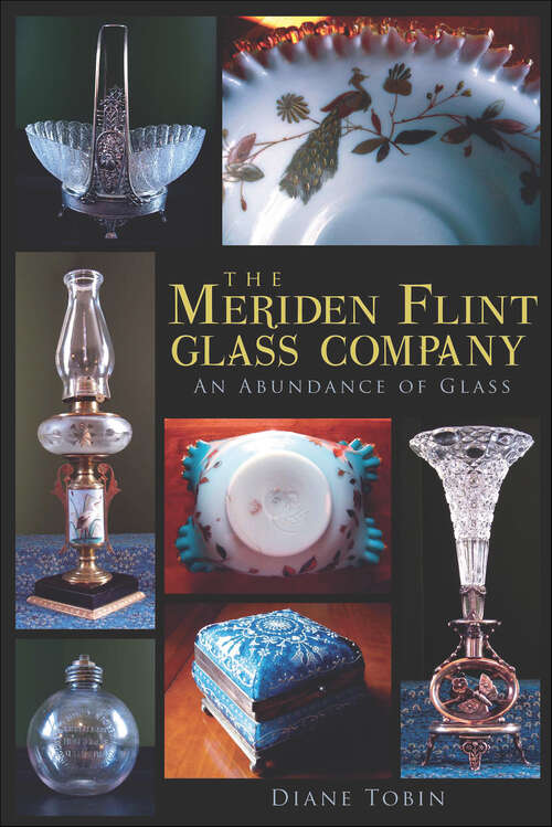 Book cover of The Meriden Flint Glass Company: An Abundance of Glass