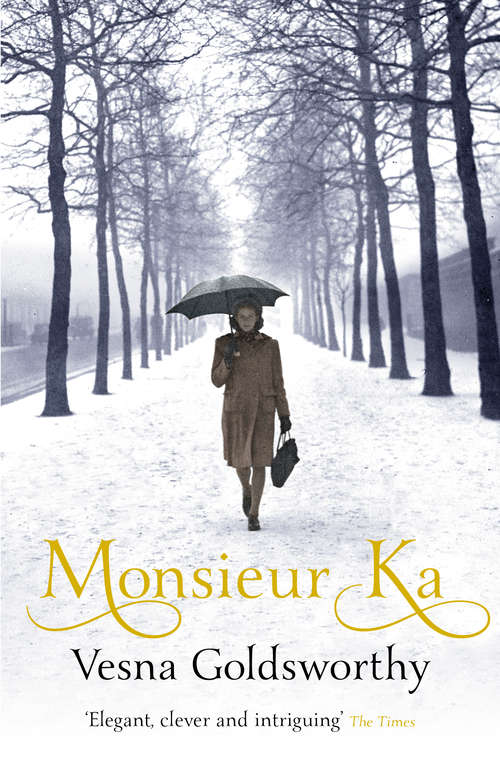 Book cover of Monsieur Ka