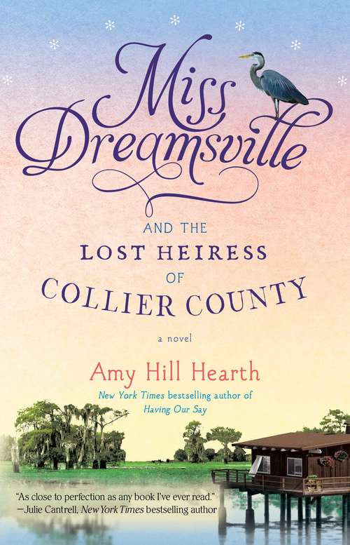 Book cover of Miss Dreamsville and the Lost Heiress of Collier County