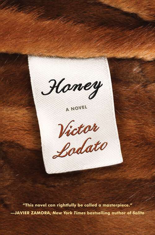 Book cover of Honey: A Novel