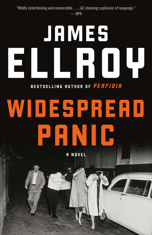 Book cover of Widespread Panic
