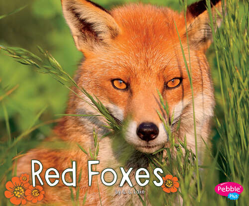 Book cover of Red Foxes (Woodland Wildlife Ser.)