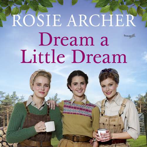 Book cover of Dream a Little Dream