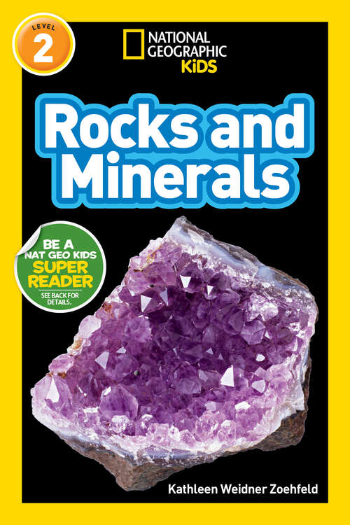 Book cover of Rocks and Minerals (Readers)