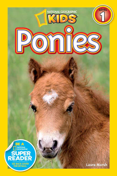 Book cover of Ponies (Readers)