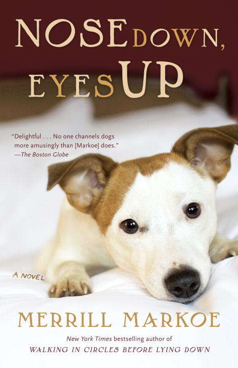 Book cover of Nose Down, Eyes Up