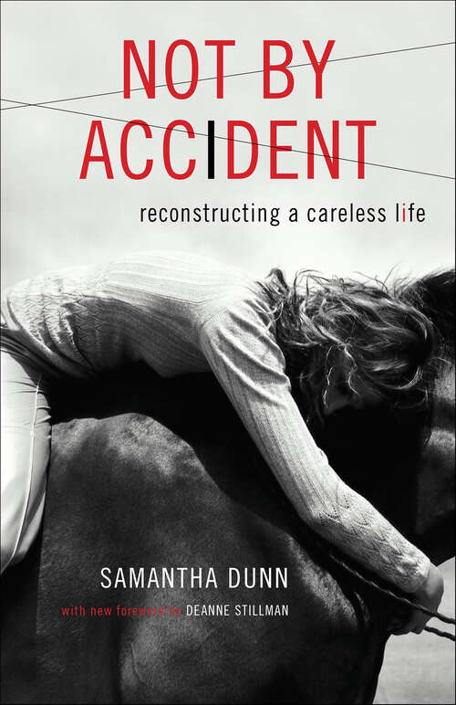 Book cover of Not by Accident: Reconstructing a Careless Life