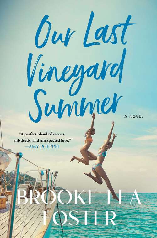 Book cover of Our Last Vineyard Summer: A Novel