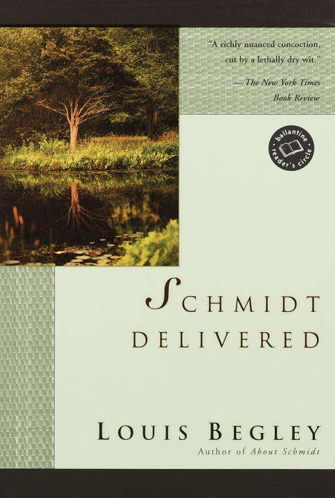 Book cover of Schmidt Delivered