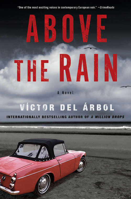 Book cover of Above the Rain: A Novel